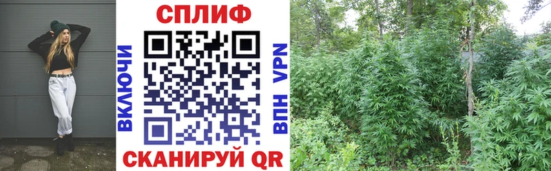 Наркошоп купить Каннабис  СК  ГАШИШ  Меф  Шахты