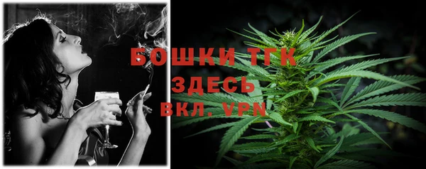 стаф Михайловск