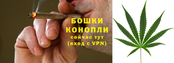 стаф Михайловск