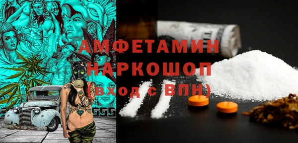 стаф Михайловск